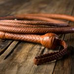 Leather Whip