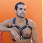 Mens Leather Harness