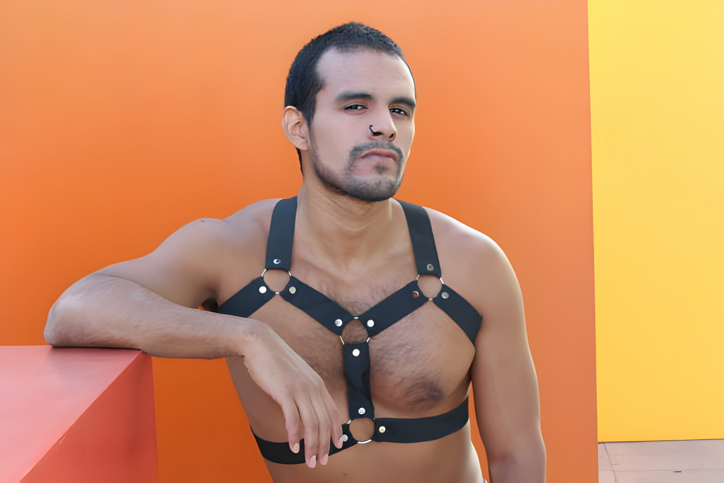 Mens Leather Harness